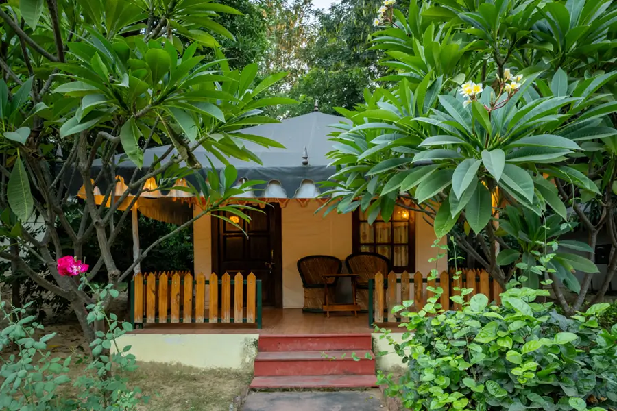 Safe Resort Ranthambore Safe Resort Ranthambore